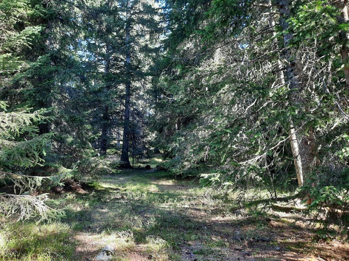 La Petite Foret Chamrousse 1700 エクステリア 写真