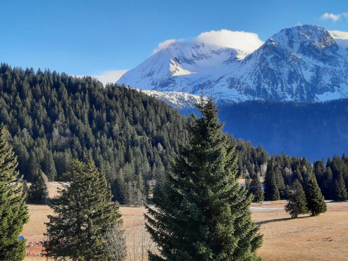 La Petite Foret Chamrousse 1700 エクステリア 写真
